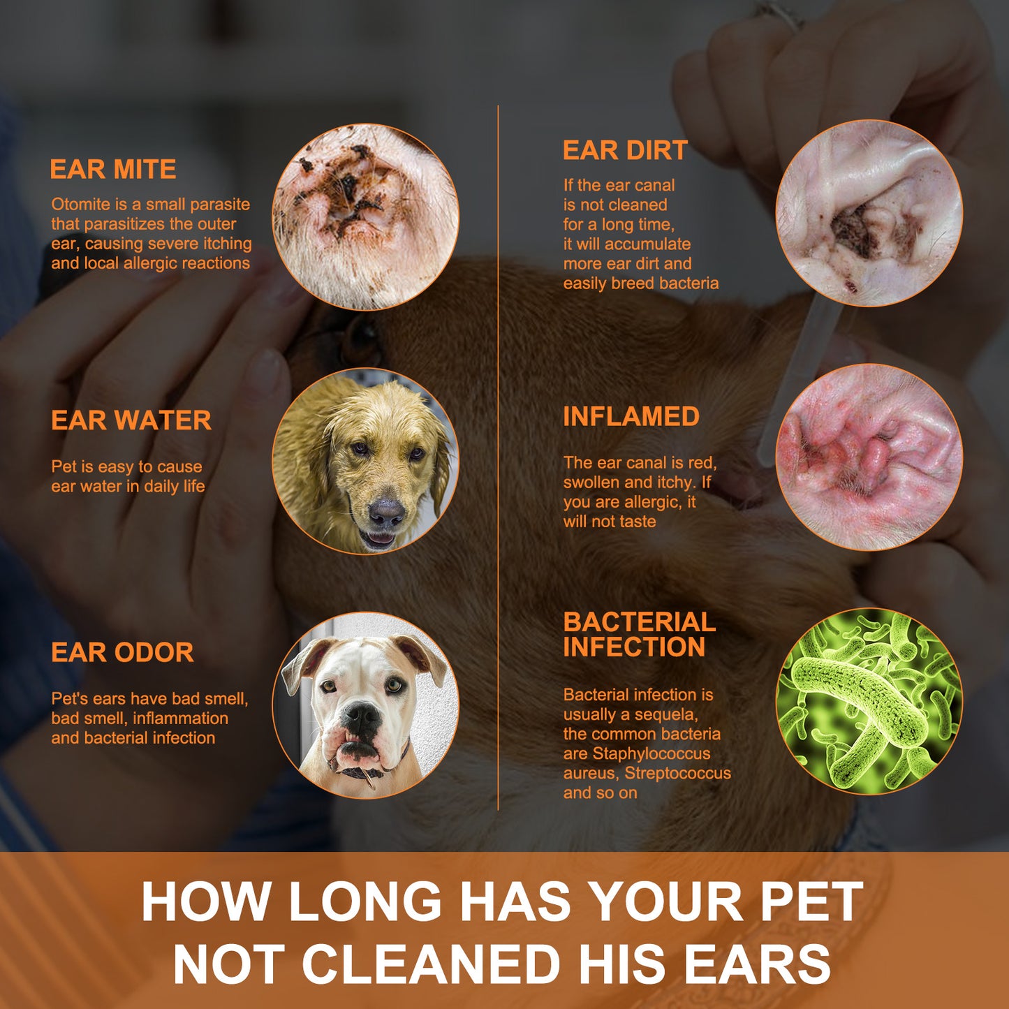 Yegbong Pet Ear Cleaning Solution For Cats And Dogs Removes Ear Mites