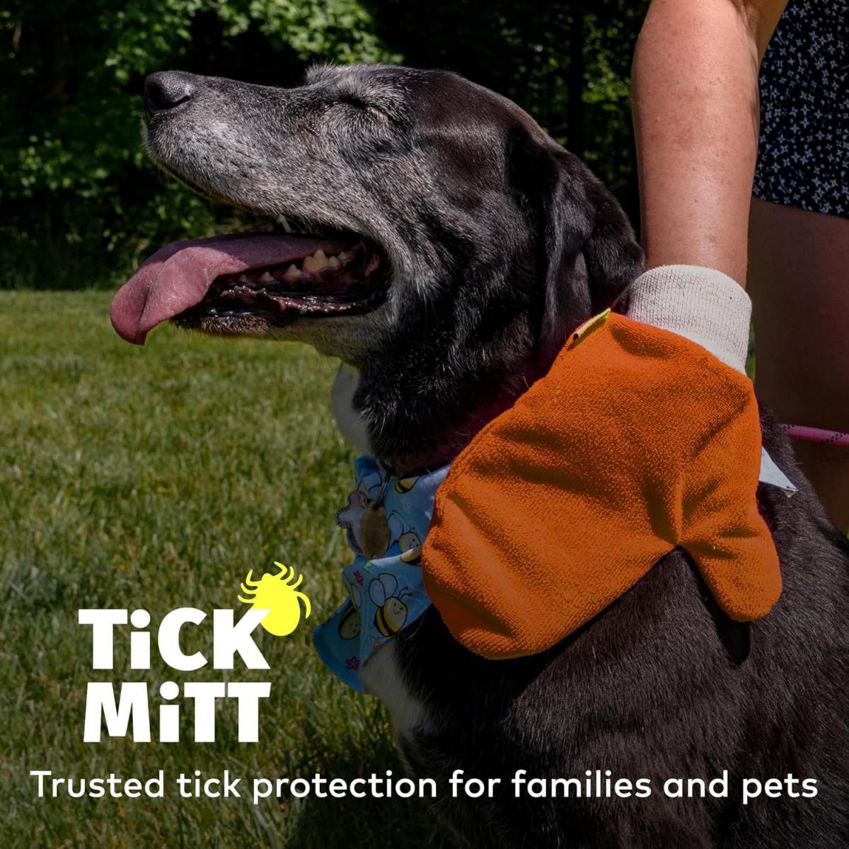Pet Tick Remover Flea And Lice Removal Cleaning Gloves For Cats And Dogs