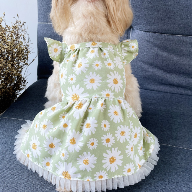 Pet Dress-Little Daisies-Light Green-XXL-Polyester-1 piece