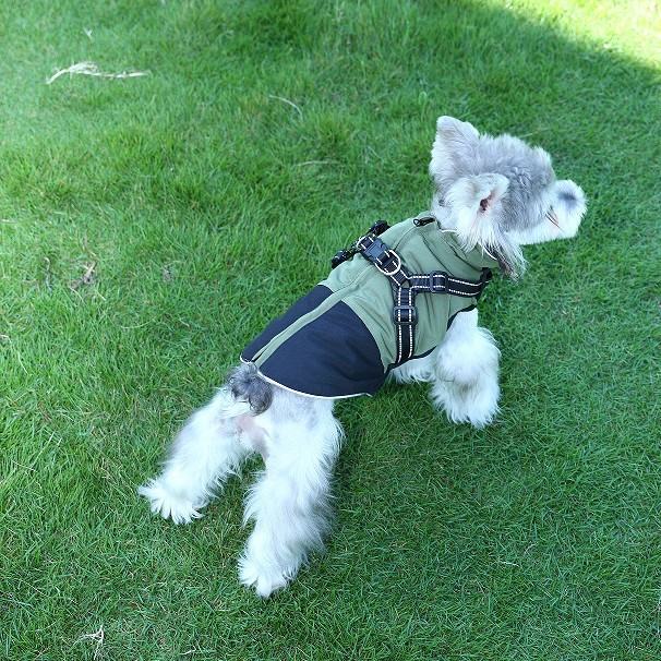 Fashion Outdoor Waterproof Cotton Pet Clothing