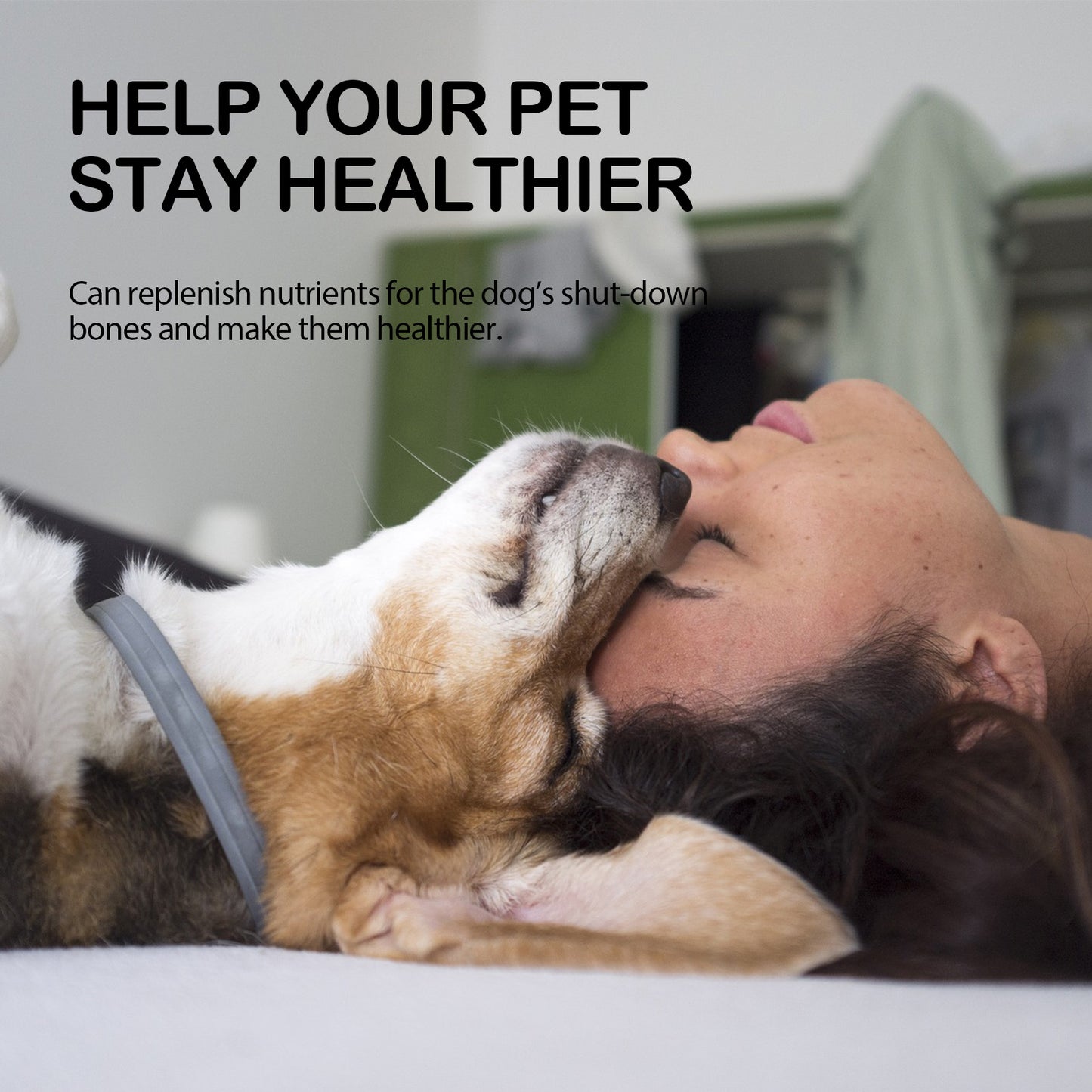 Dog Pet Care Oil With Lemon Balm Oil Fatty Acids, Joint & Muscle Relief Supplement Oil For Canine Mobility Support