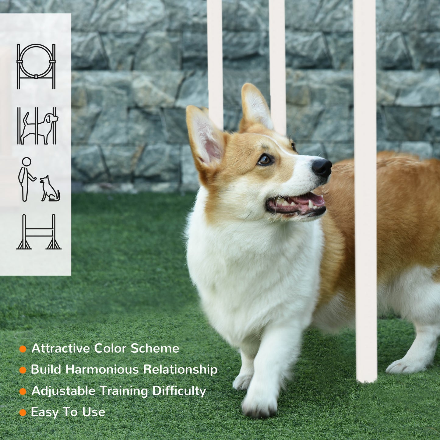 PawHut Dog Agility Training Equipment For Dogs With Carry Bag - Multicoloured