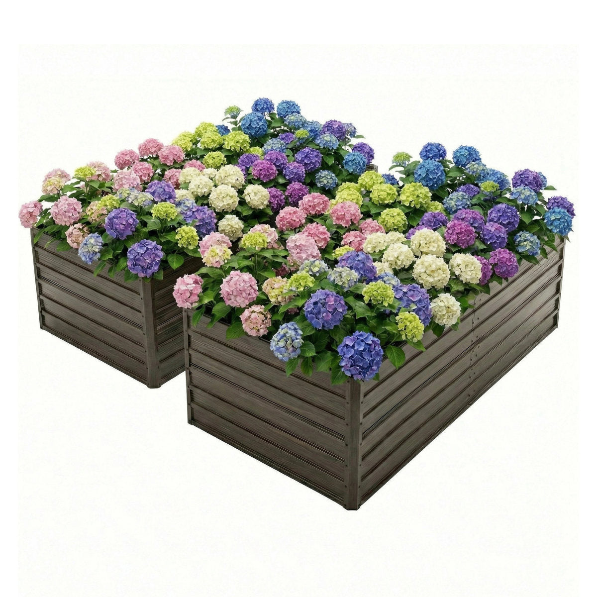 Double the Beds, Double the Harvest! 8x4x2 FT Woodgrain Galvanized Raised Garden Bed Set - Durable Outdoor Combo for Veggies, Flowers, Herbs & Fruits