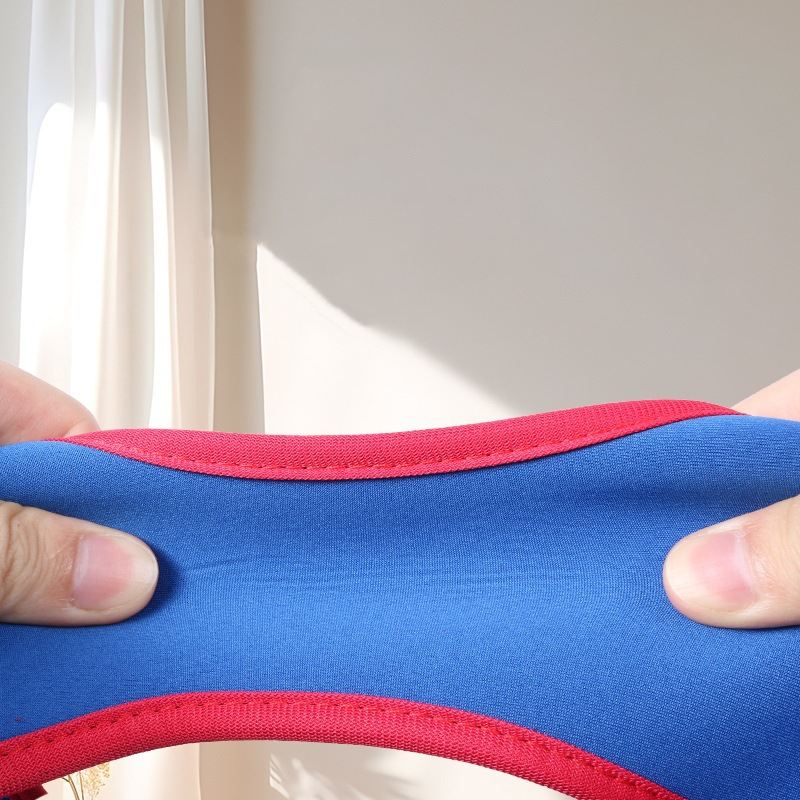Pet Spine Support Jacket Prevents Hunching In Pets