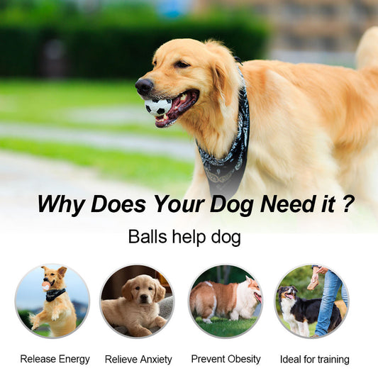 12 PCS Non-Toxic Dog Toy Ball Hard Rubber Solid Ball Cleaning Teeth Durable To Chew And High Rebound Great Pet Play Training Supplies