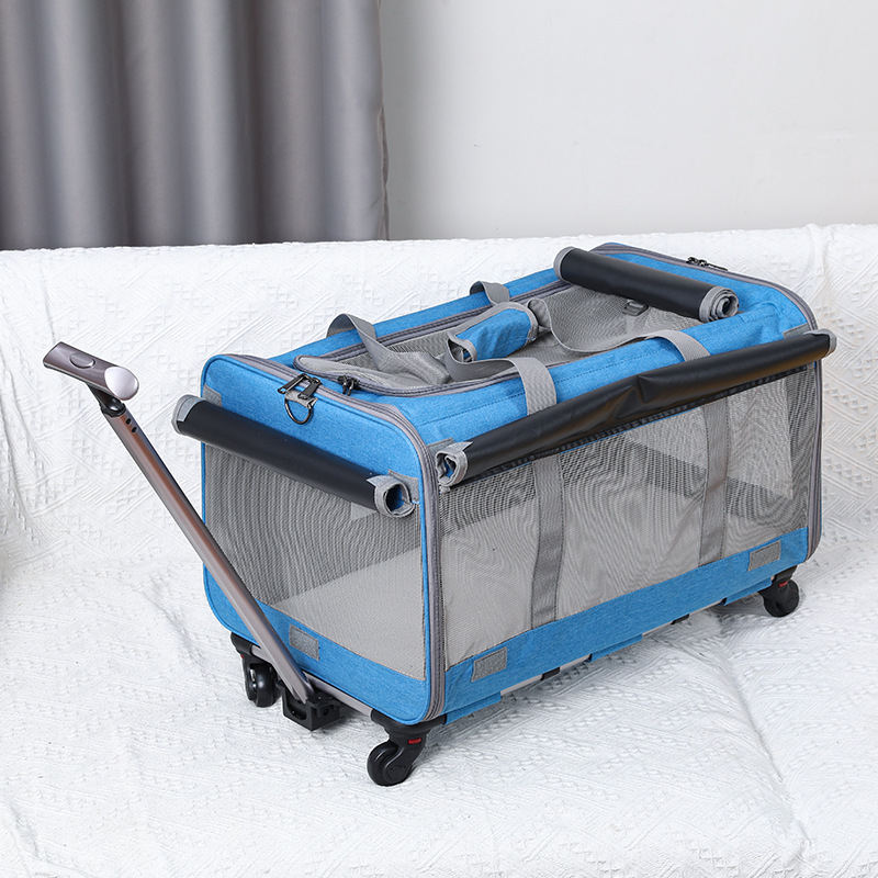 Fashion Personalized Foldable Cat Pet Bag