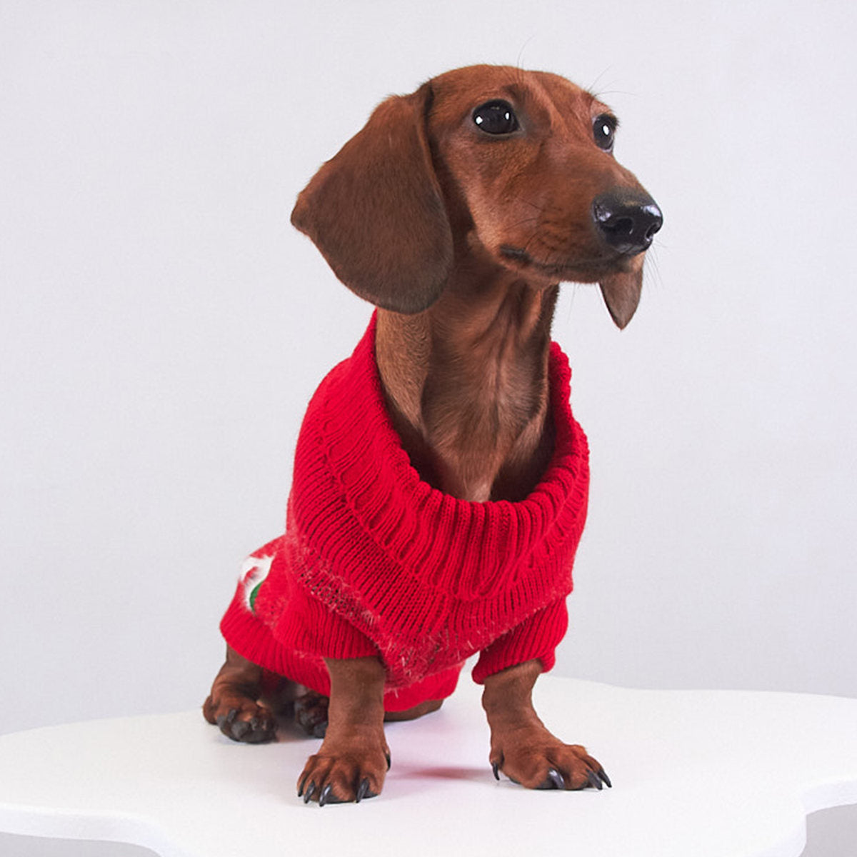 Creative Warmth Dogcat Pet Christmas Mink Sweater