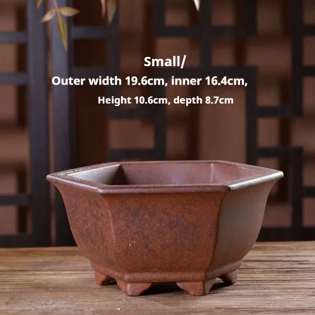 Green Plant Succulents Indoor Desk Purple Clay Flower Pot