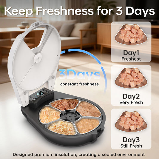 Smart Pet Feeder Automatic Timer For Cats Small Dogs Keeps Raw Or Wet Food Fresh For 3 Days