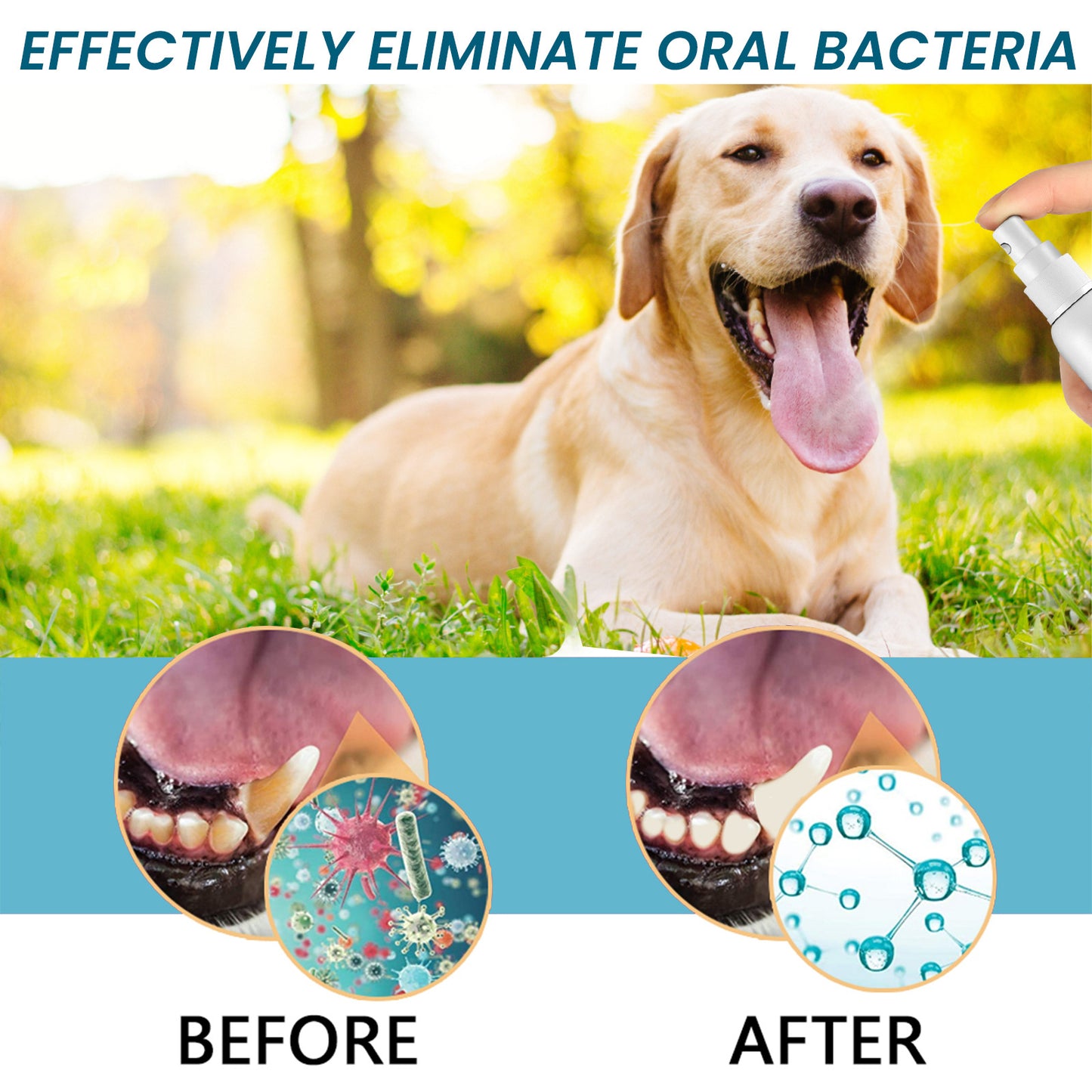 Pet Oral Care Spray To Eliminate Bad Breath