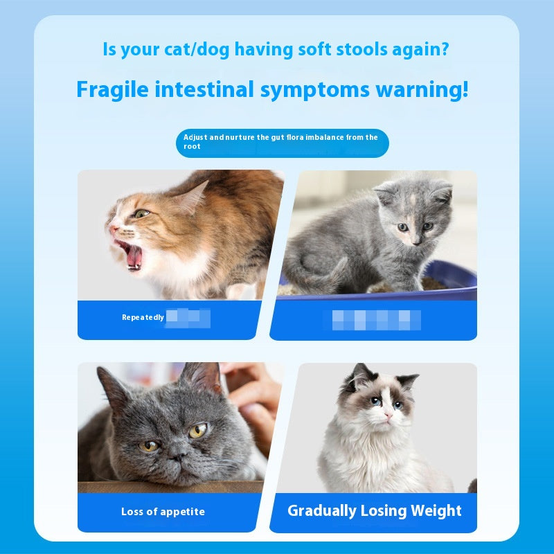 Pet Active Probiotic Tablets 180 Tablets