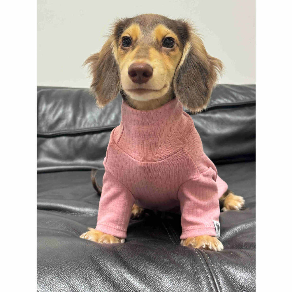 Pet Clothing Autumnwinter High-neck Base Vest
