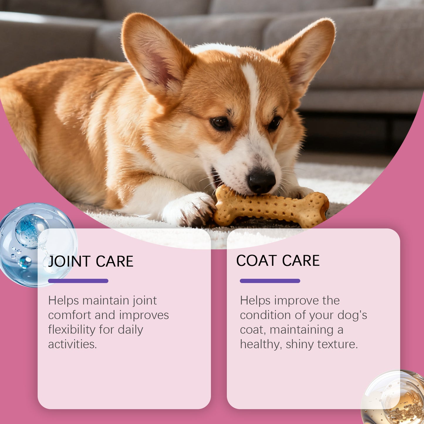 Joint Care Skin And Hair Care Gentle Formula Nutritional Dog Collagen Drops