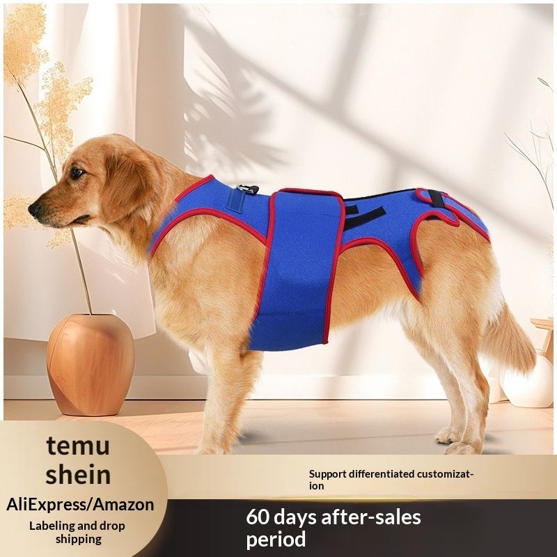 Pet Spine Support Jacket Prevents Hunching In Pets