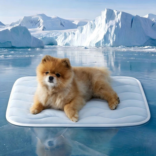 Pet Supplies Dog Bed All-Season Sleeping Mat