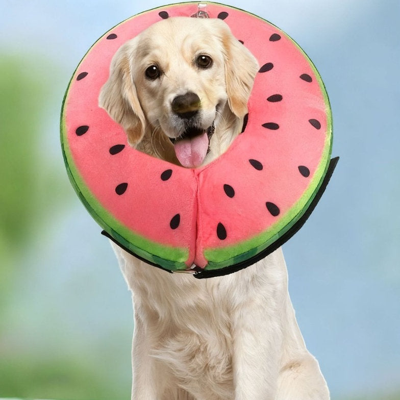 Pet Collar For Dogs To Prevent Licking After Surgery