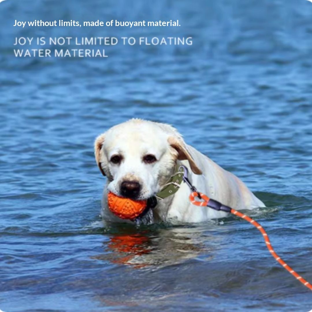 Extra Long Dog Leash For Pet Swimming, Diving, And Floating.
