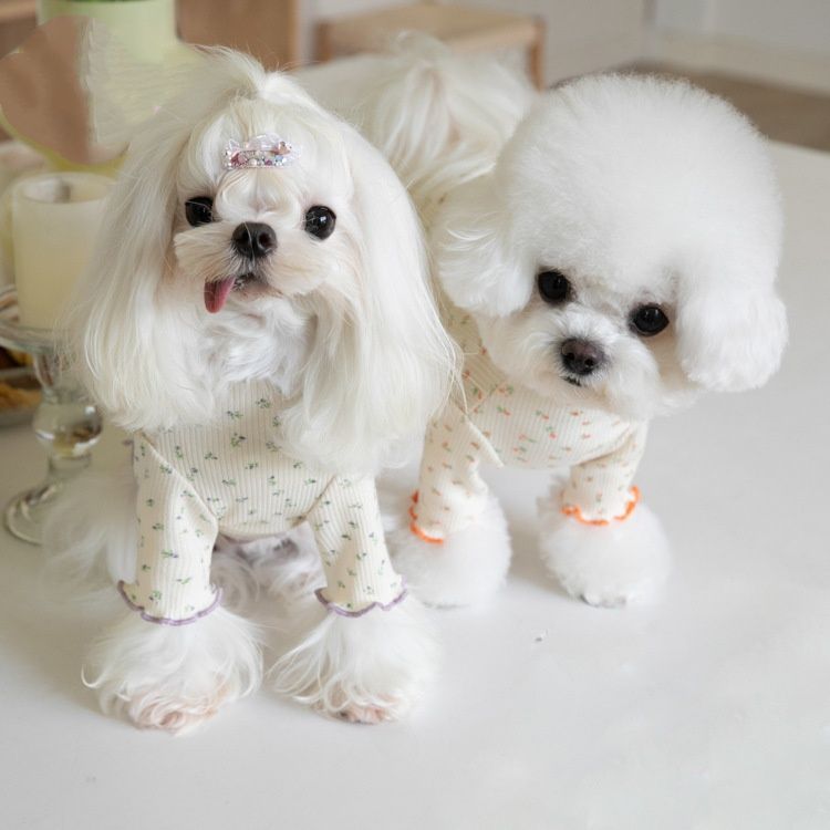Floral-patterned Home Base-layer Pet Clothing