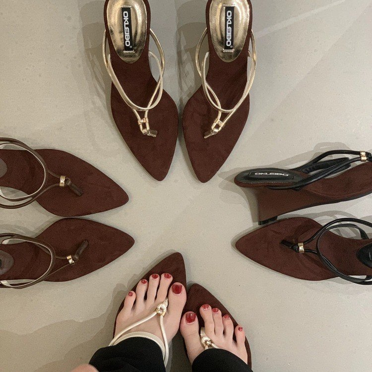 OKLEIBO Korean Style Pointed Toe Thong Sandals, 2026 New Wedge Heel Women's Flip Flops, Stylish Outdoor Vacation Fairy Shoes