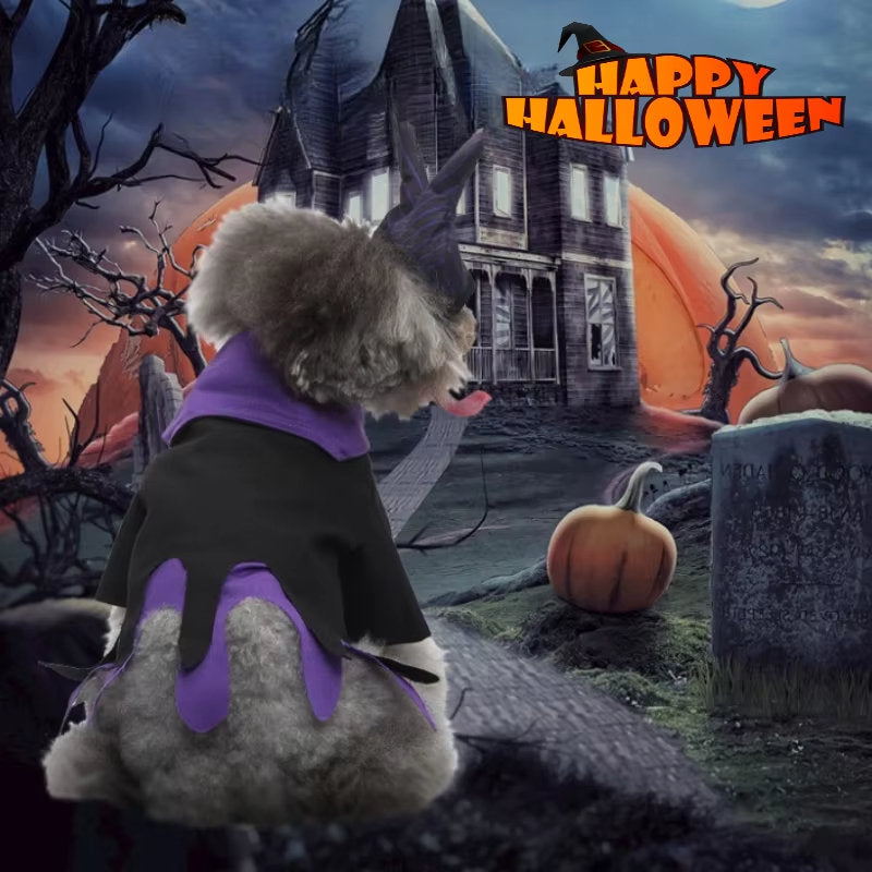 Pet Clothes Cosplay Funny Outfit Dog Clothes Butterfly Wings Festival