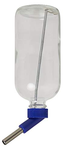 Lixit Glass Water Bottles for Rabbits, Ferrets, Small Birds, Guinea Pigs, Rats, Hamsters and Other Pets (16oz)