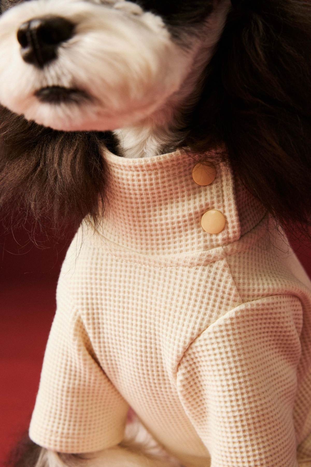 Tony Bear Dog Clothes Autumn And Winter Waffle Four-legged Pet Clothing