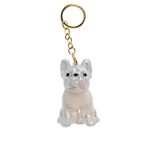 BeSpace Dog Hair Collector Keychain Charm Memorial Storage Box,Pet Fur Collection Transparent Capsule,Dog Hair Memorial Ke...