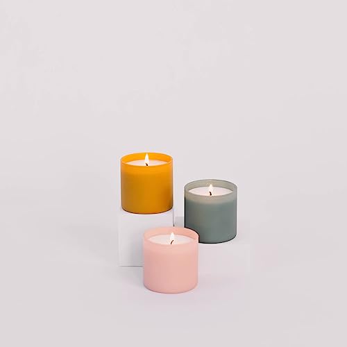 Calyan Wax Co. Dignity Series Scented Candle Gift Set - 6 Scented Candles - 35 Hour Burn - Luxury Non Toxic Soy Wax Candle...
