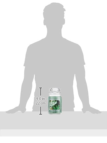 Village Candle Eucalyptus Mint Large Glass Apothecary Jar Scented Candle, 21.25 oz, Green