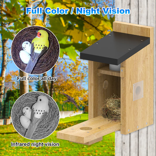 Outdoor Simple Solar-Powered Smart Visual Birdhouse