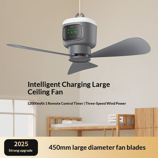 Wireless Small Ceiling Fan With USB Charging