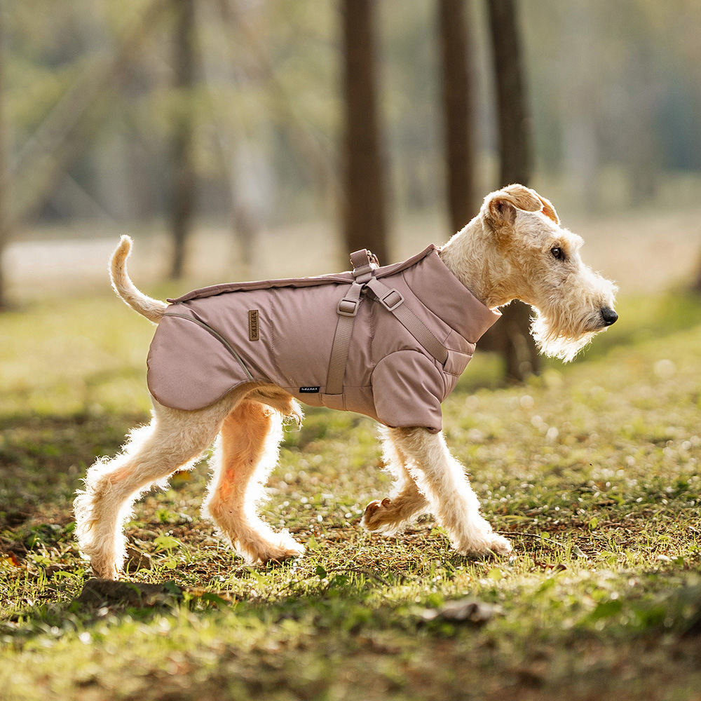 Pet Thickened Two-Legged Warm Outdoor Windproof Clothing