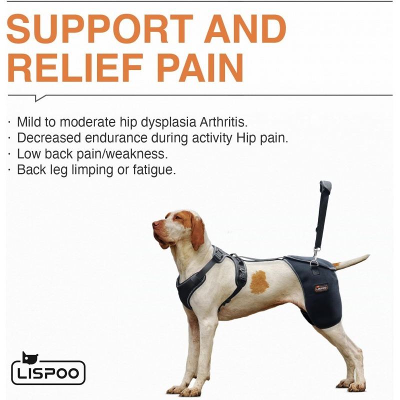 Pet Dog Hip Joint Knee Support Brace Comfortable And Breathable Chest Harness