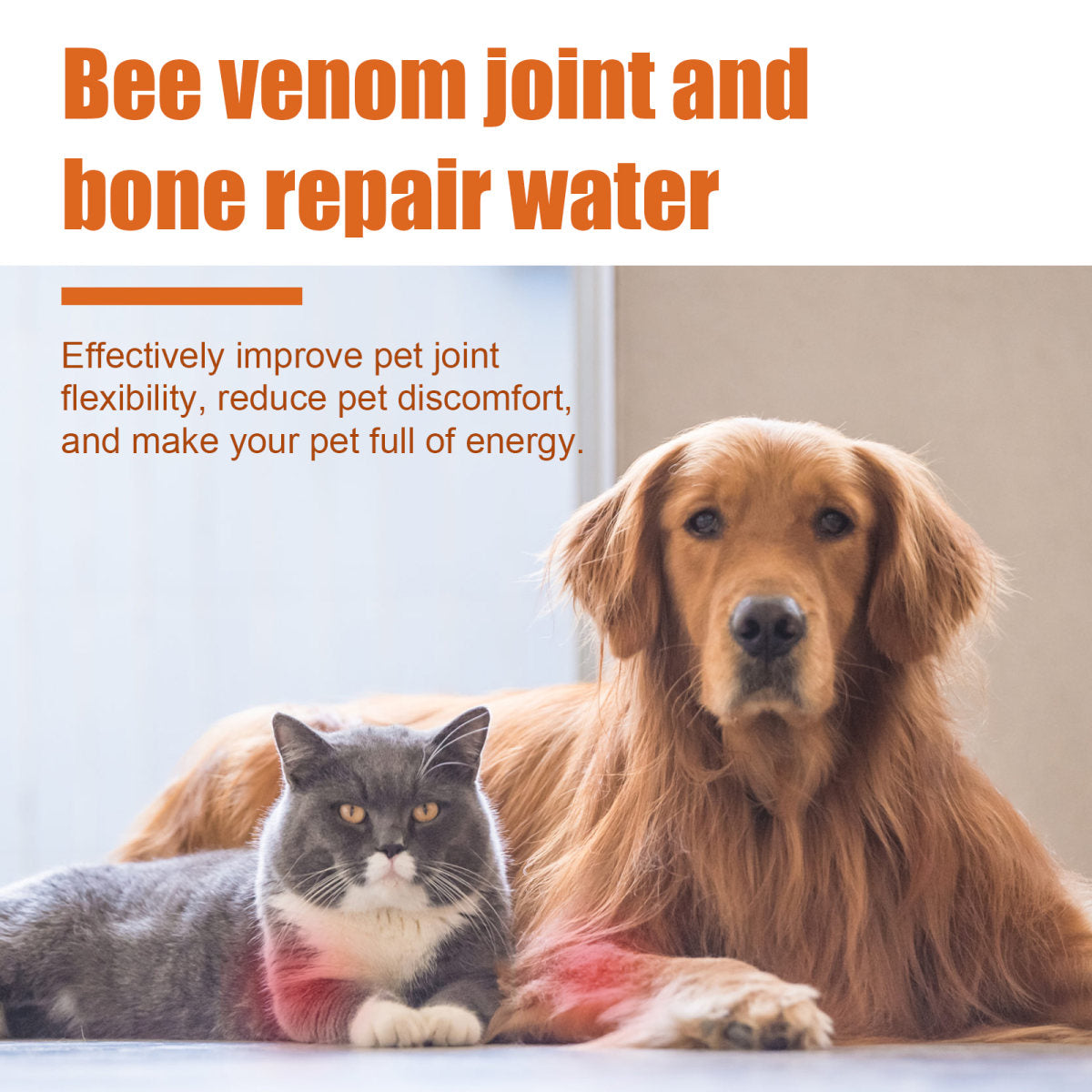 Pet Bee Joint Oil For Dogs & Cats, Joint Support Supplement Oil Relief Joint Discomfort, Improve Mobility & Repair Joint Tissue, 30ml