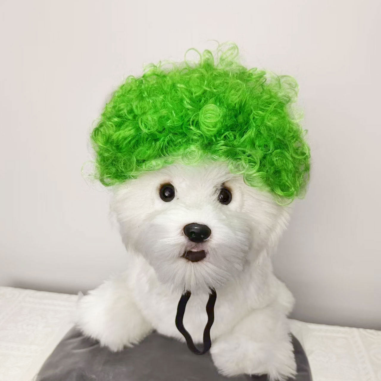 Halloween Pet Wig For Curly Or Straight Hair