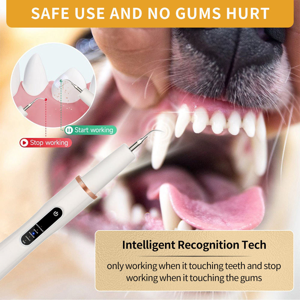 Pet Dog Tartar Remover Dental Tool