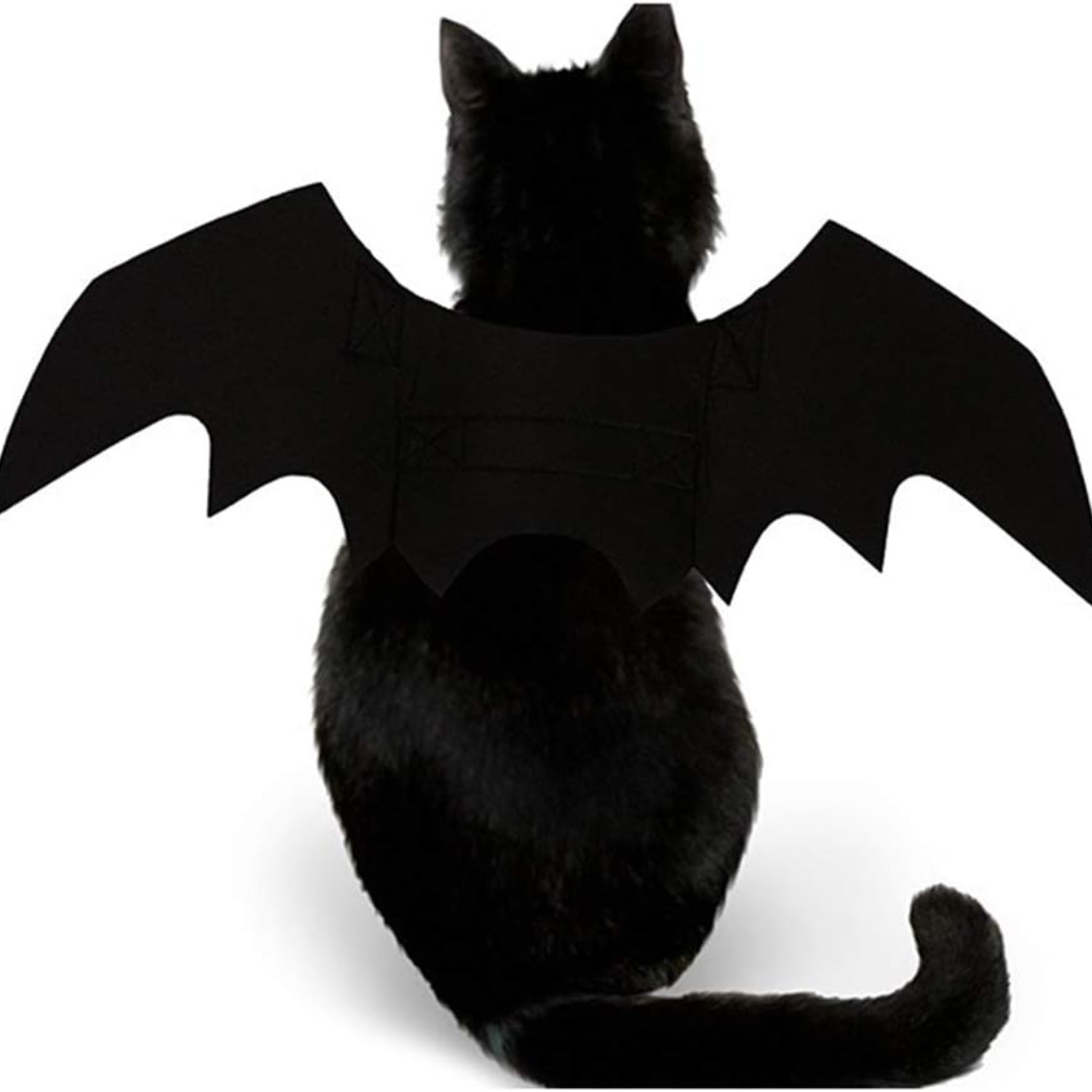 Pet Cat Bat Wings For Halloween Party Decoration, Puppy Collar Leads Cosplay Bat Costume,Cute Puppy Cat Dress Up Accessories
