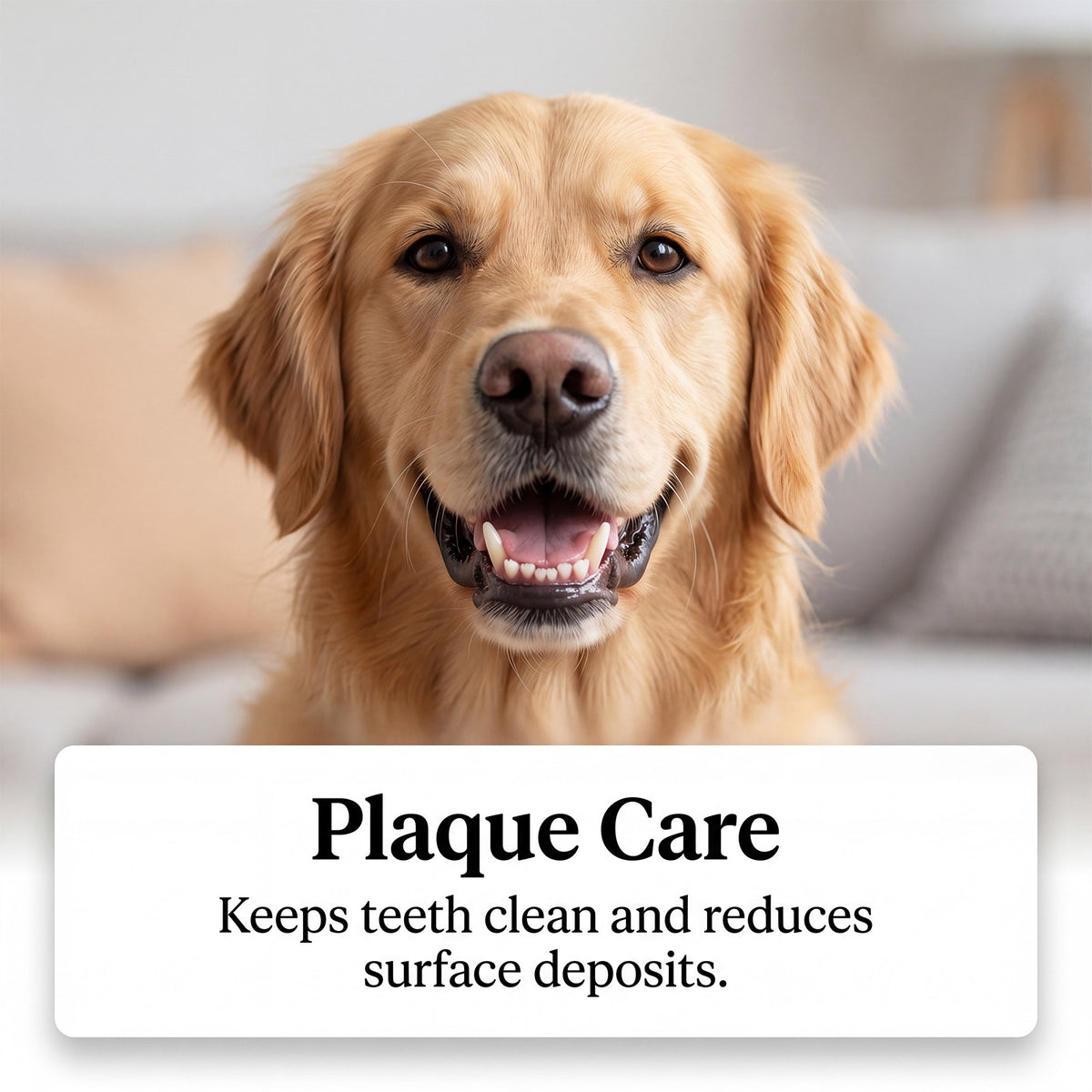 Yegbong Pet Oral Care Spray Gentle Care And Cleaning For Your Pet's Mouth, Convenient For Daily Cleaning