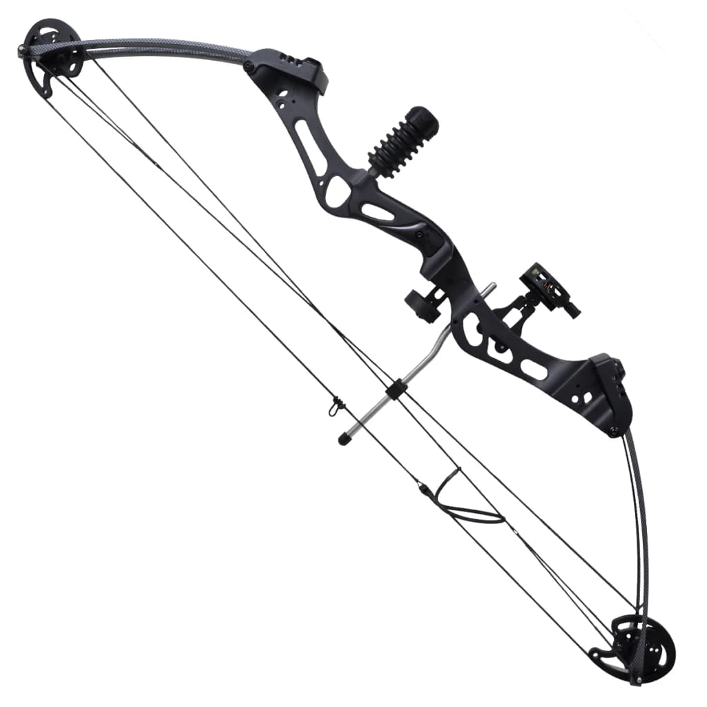 Compound bow with accessories and fiberglass arrows for adults