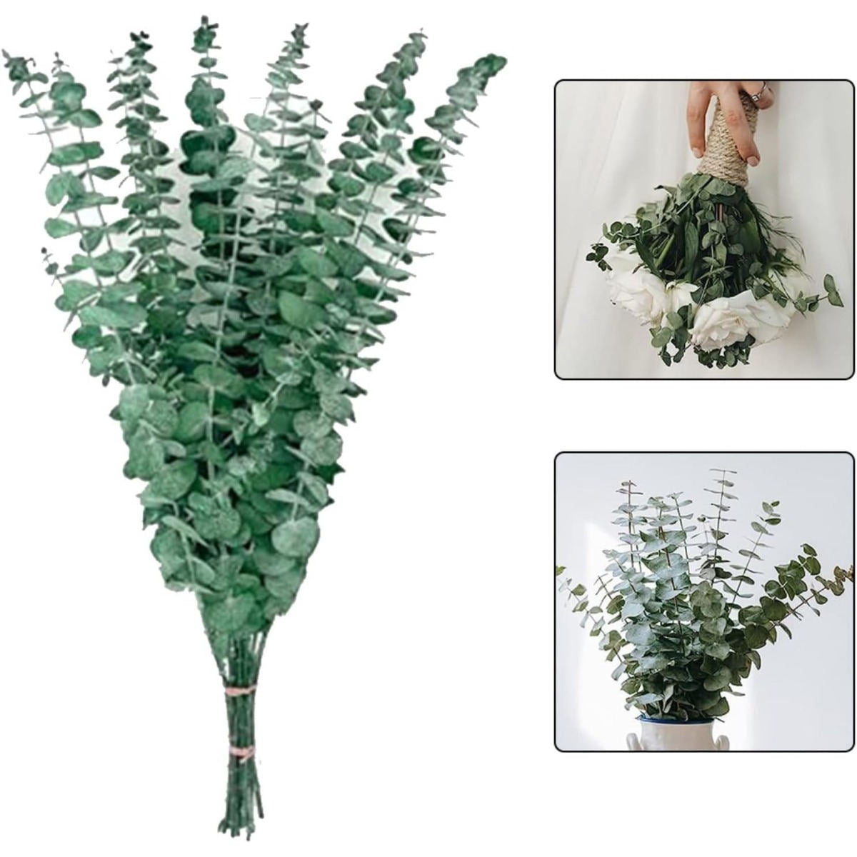 Pack Of 20 Dried Eucalyptus Sprigs, Dried Flowers, Eucalyptus Decorations, Dried Flowers, Green Eucalyptus Decorations, Suitable For Weddings, Table Decorations, Floral Arrangements, And Home Decor