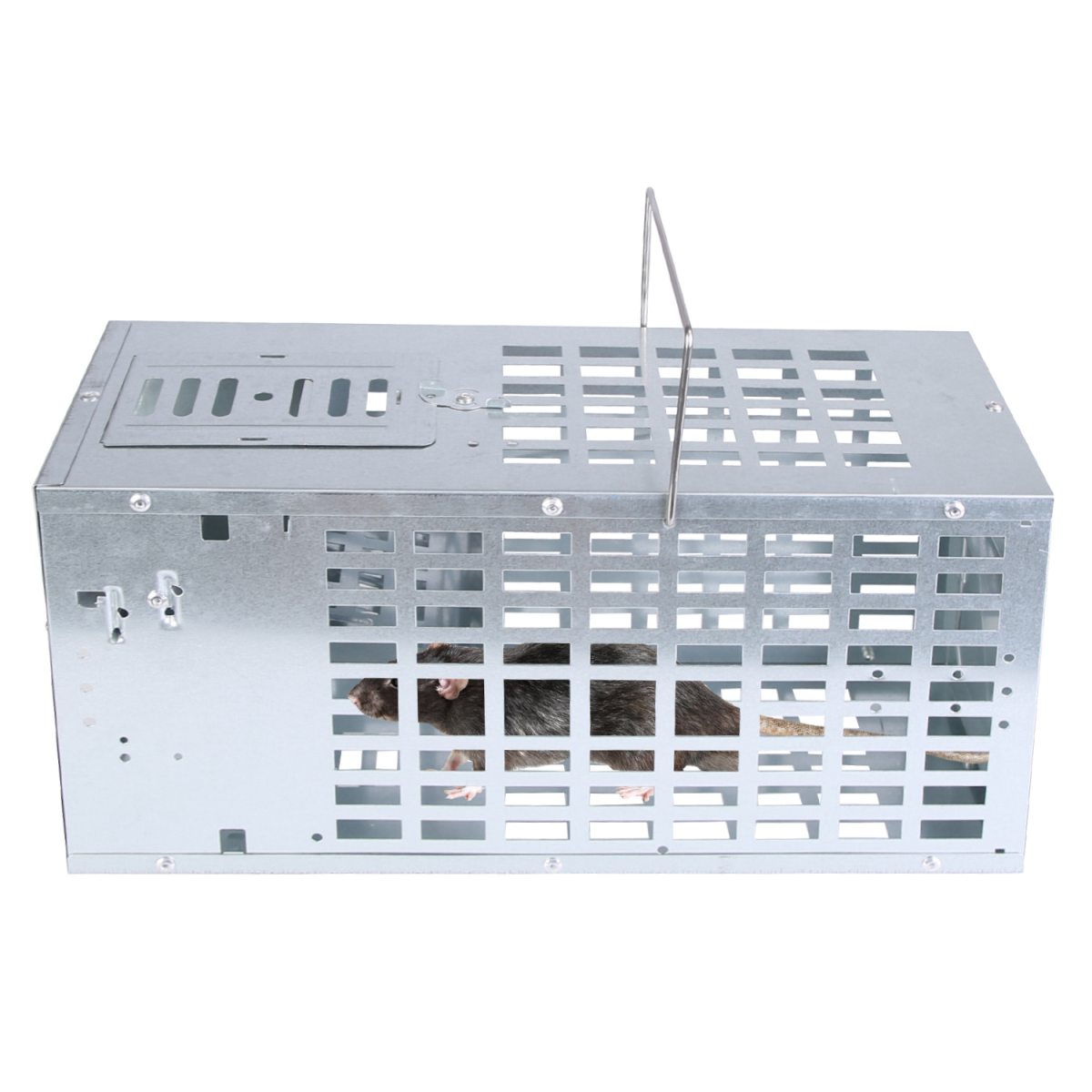 1Pc One Door Humane Live Mouse Trap Reusable Metal Rat Rodent Cage Catch Release Continuous Capture Indoor Outdoor Pet Children Safe