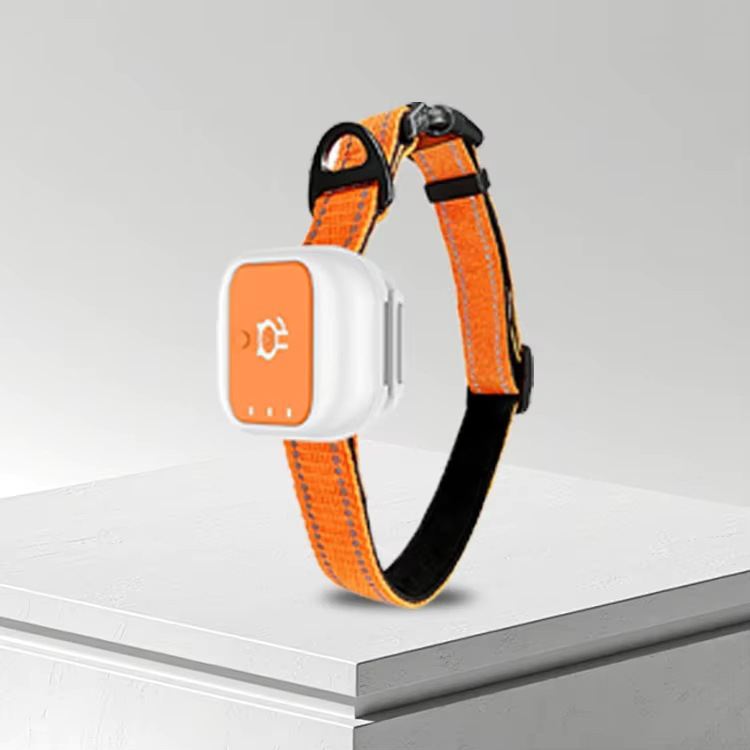 4G GPS Pet Collar Cats And Dogs Realtime GPS Tracking