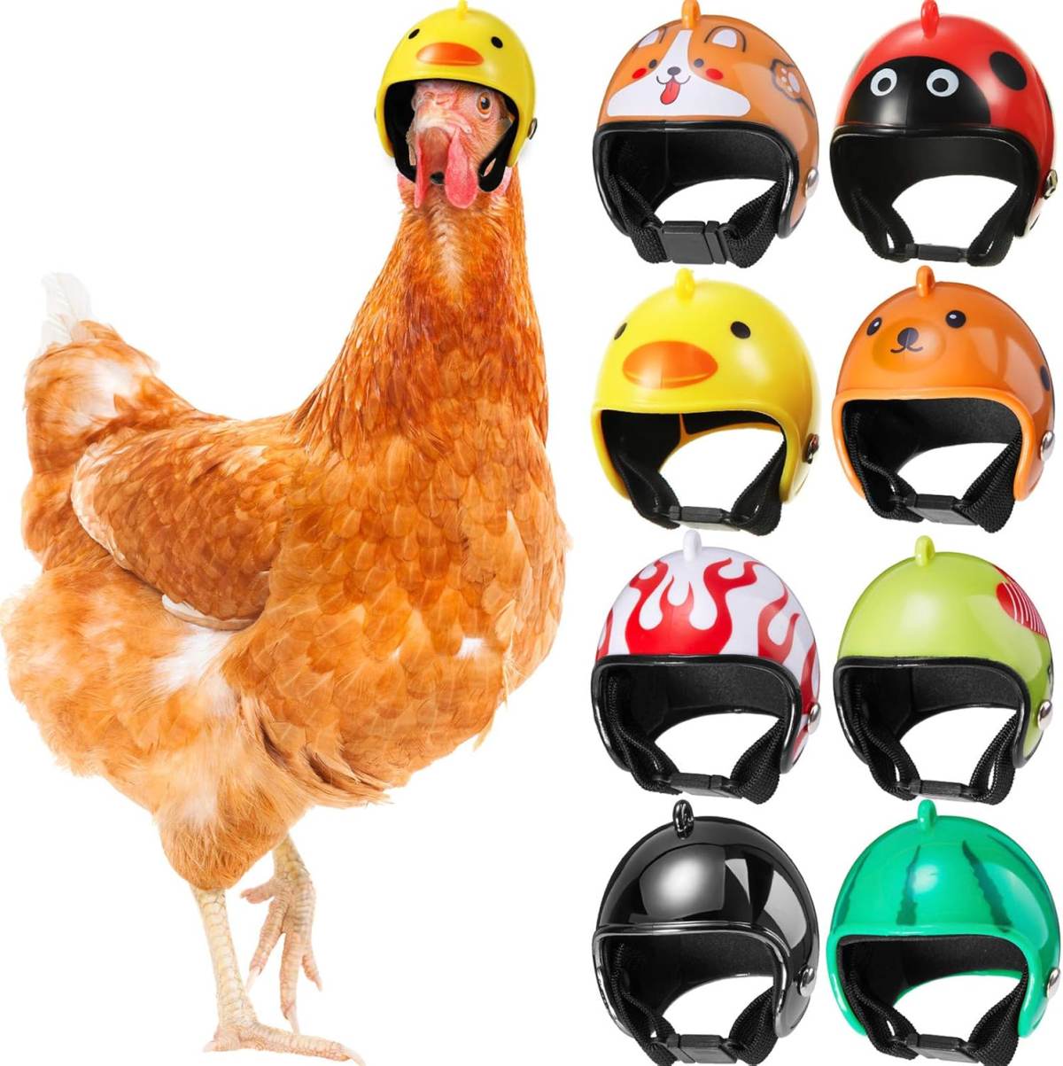 Hens Helmet Chicken Pet Safety Funny Parrot Bird Hat Headwear Small Hard Costumes Accessories For Parakeet