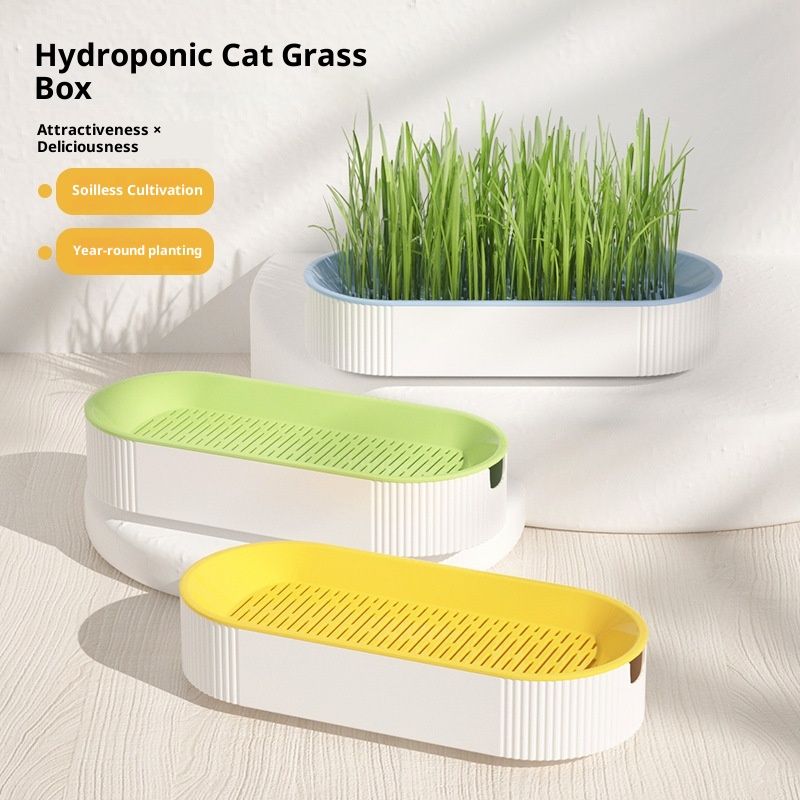 Pet Supplies Cat Snacks Catnip Planting Hydroponic Box