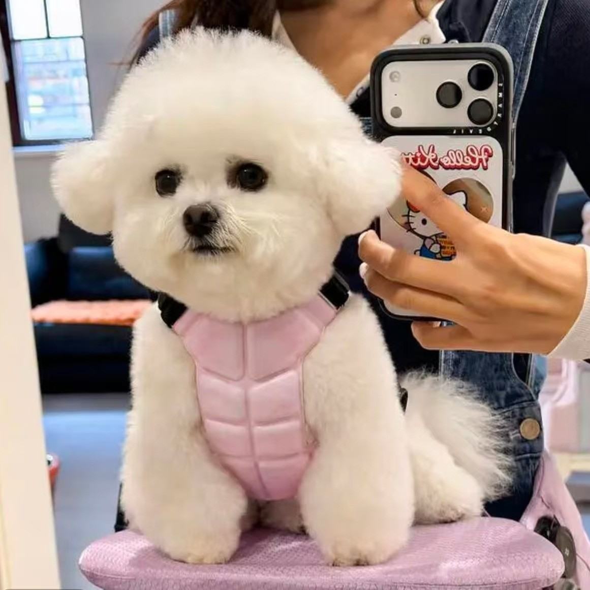 Physical Cooling Phase Change Ice Pad For Dogs