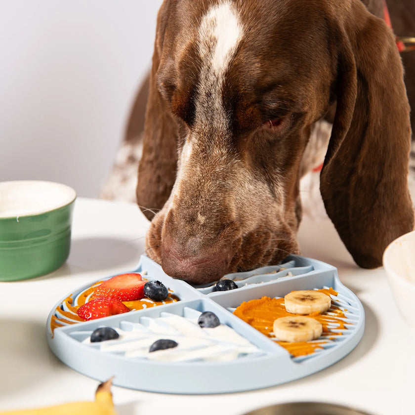 Dog Licking Mat Pet Slow-feeding Silicone Tray