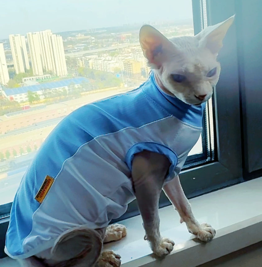 Sphynx Cat Summer Cooling Shirt Stretch Blue Mesh Vest Sun Protection