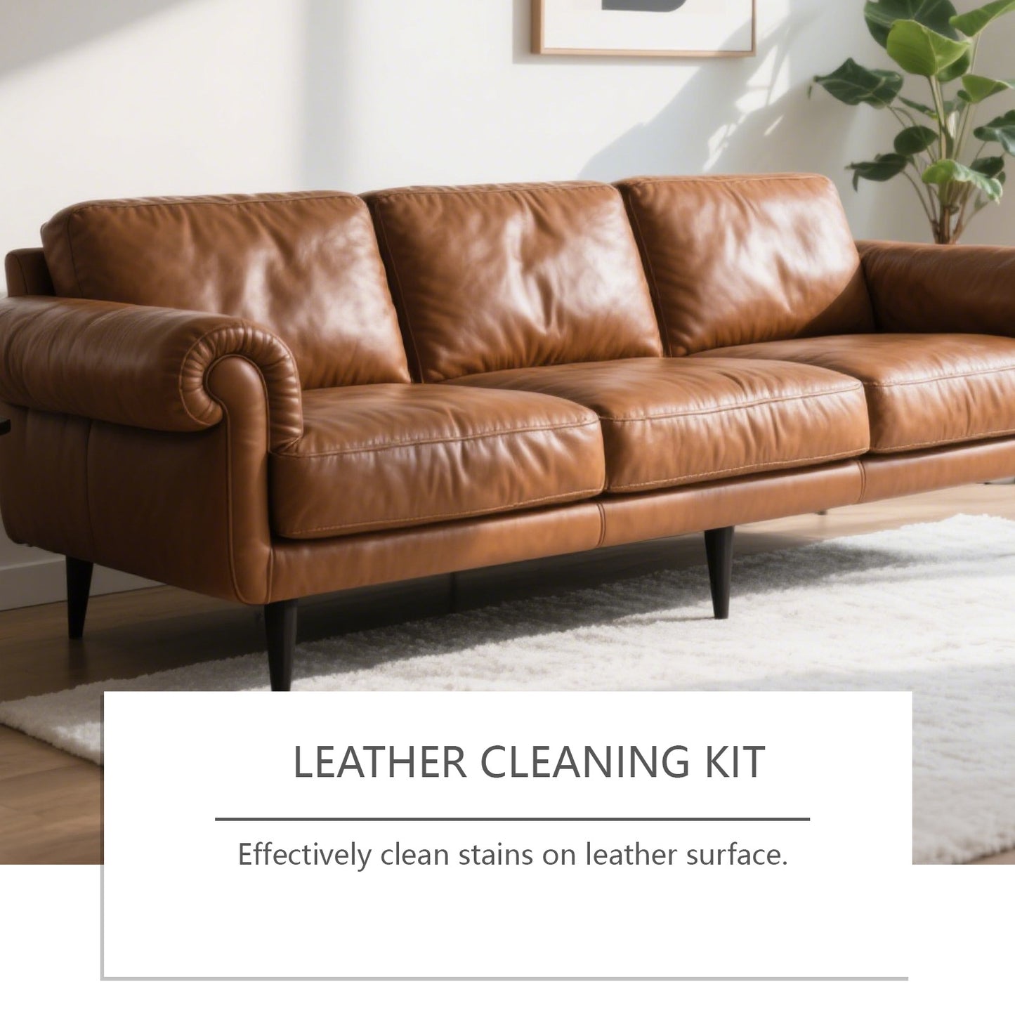 Shine Restorer And Stain-Resistant Leather Cleaning & Care Kit