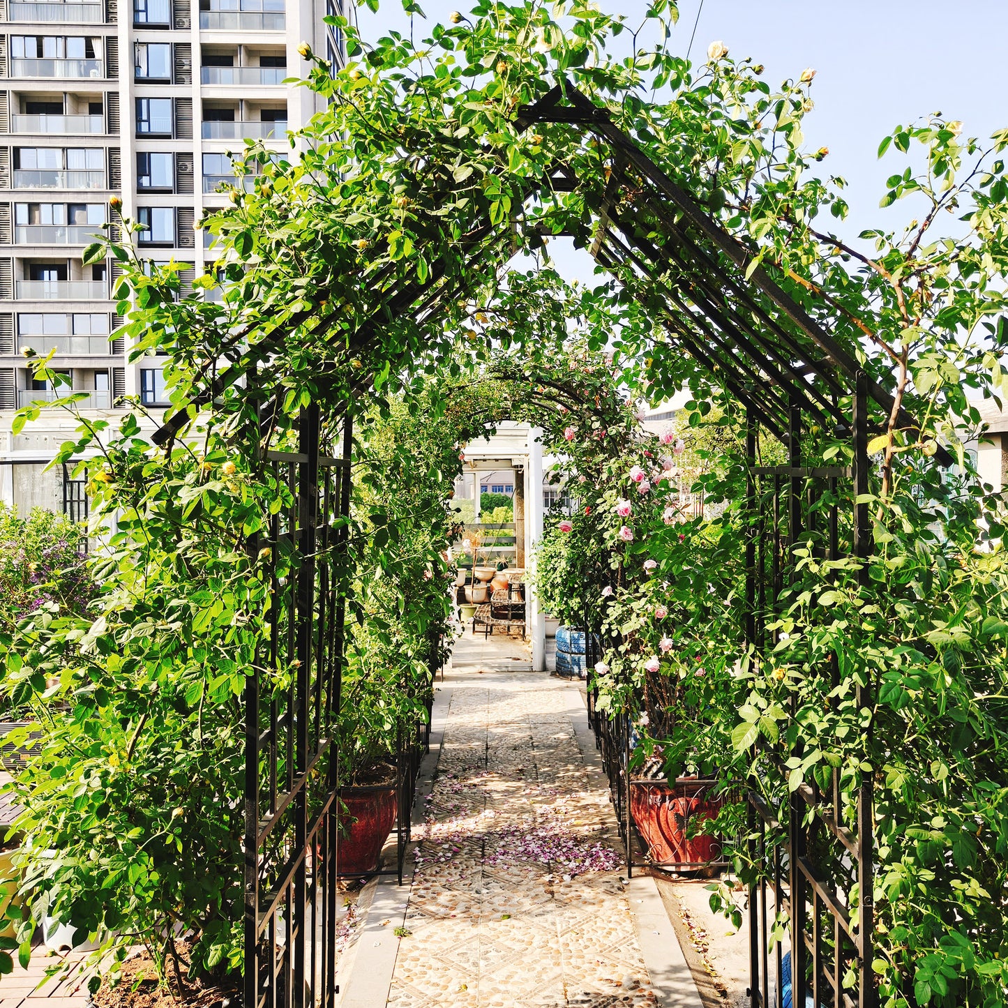 Metal Garden Arch With Gate W58.07XH97.24 Climbing Plants Support Rose Arch Outdoor Black