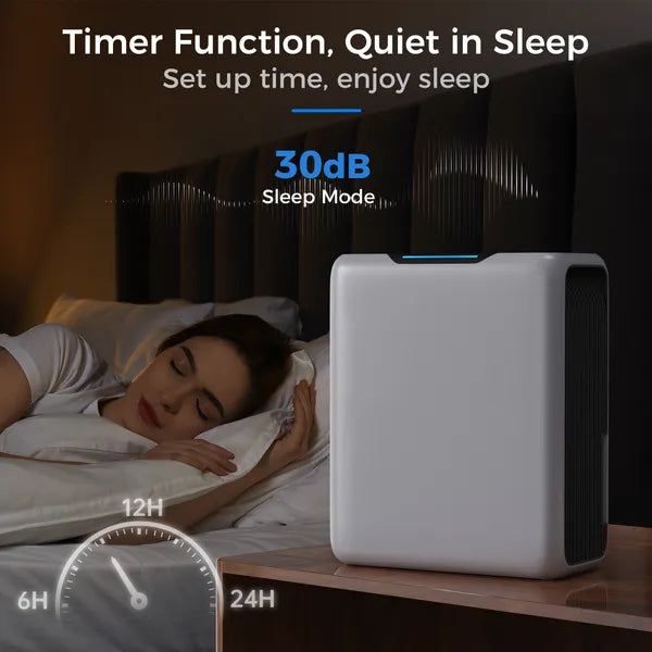 3L Dehumidifier, Electric Dehumidifier For 20m2 Home, Dual Peltier Technology, 30dB Ultra Quiet For Bedroom, Intelligent Defrost, 24H Timer